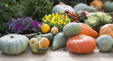 kabaklar gardentable üzerinde