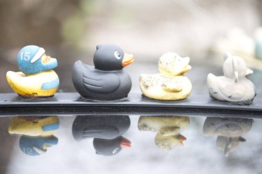 Araba çok lastik ördek