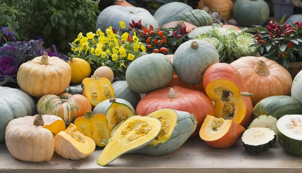 Kürbisse auf Gartenmöbeln — Stockfoto