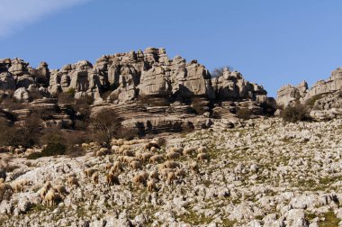El Torcal parc Andalusia