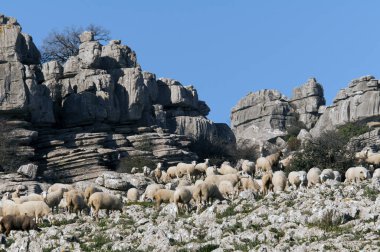 El Torcal parc Andalusia
