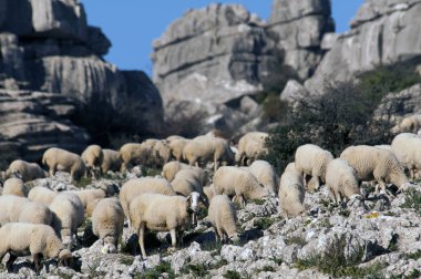 El Torcal parc Andalusia