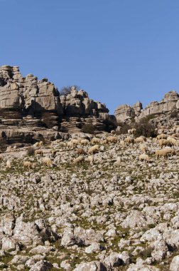 El Torcal parc Andalusia