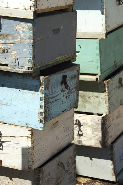 Gris azul blanco y verde cajas — Foto de Stock