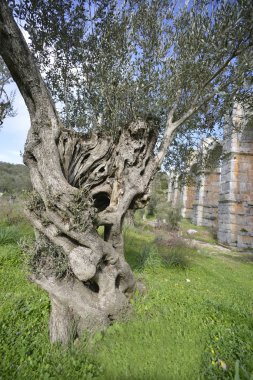Antik kullanım Lesvos Yunanistan