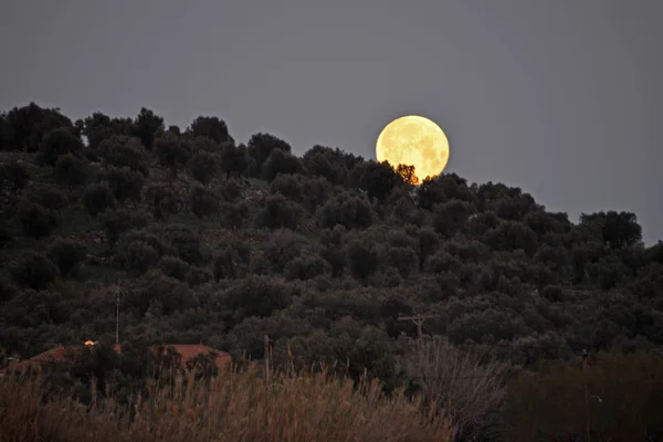 Luna llena sobre la colina — Foto de Stock