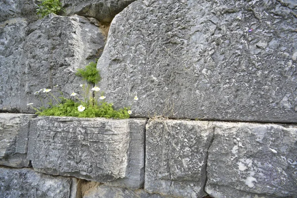 돌 벽 성 — 스톡 사진