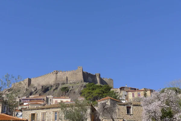 Arka plan ağaç bahar Molivos Castle ile çiçeklenme — Stok fotoğraf