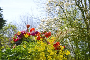 Bahar çiçek buketleri
