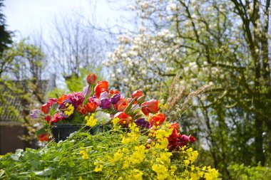 Bahar çiçek buketleri