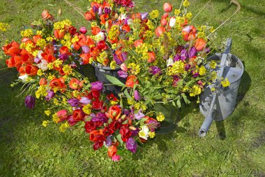 Bahar çiçek buketleri