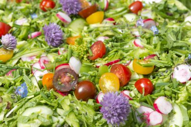 yenilebilir çiçekler ile Bahçe salatası