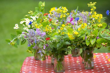 bir vazoda summerflowers