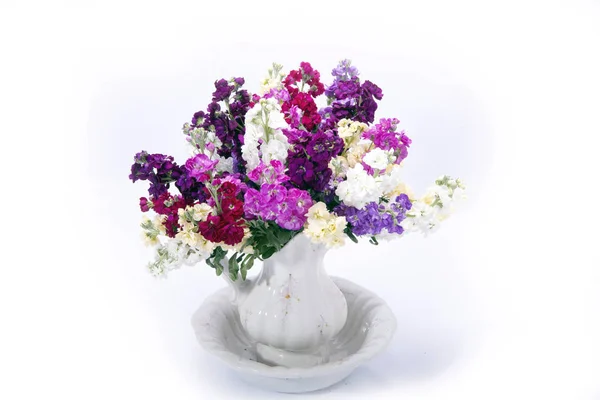 Bouquet de Matthiola mélangé dans un vase — Photo