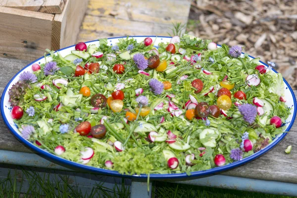 可食用花朵的花园沙拉 — 图库照片