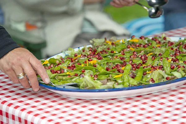 Salada de jardim com semente de romã — Fotografia de Stock