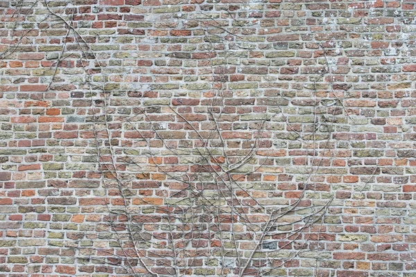 Muro de ladrillo de piedra en ruina Holanda — Foto de Stock