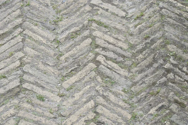 Parede de tijolo de pedra em ruína Países Baixos — Fotografia de Stock