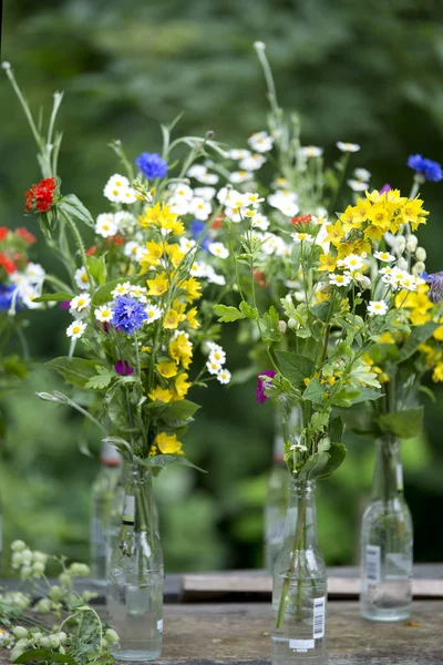 Flores de verano en jarrón — Foto de Stock