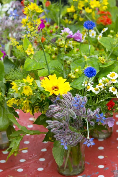 Summerflowers in a vase — Stock Photo, Image