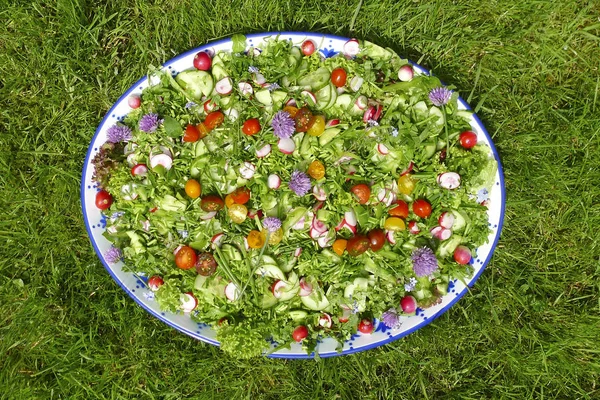 Garden salad with eatable flowers — Stock Photo, Image