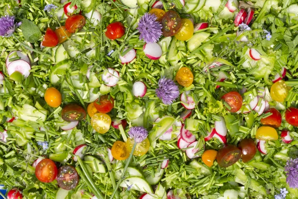 Salada de jardim com flores comestíveis — Fotografia de Stock