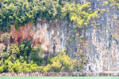Khao sok Ulusal Parc Tayland