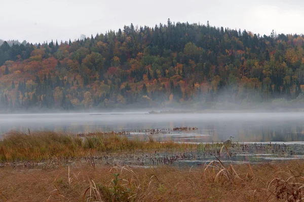 Algonquin park Kanada — Stock fotografie