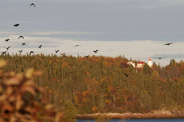 Velrybí stezka Quebec, Kanada — Stock fotografie