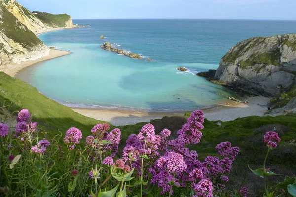 Cornwall Sur de Engeland — Foto de Stock