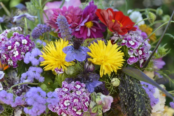 화려한 꽃다발 여름-가까이 — 스톡 사진