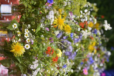 Sevimli yaz buketleri