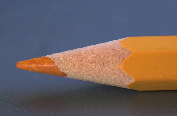 Spitze eines Bleistifts — Stockfoto
