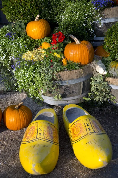 Sapatos Madeira Artesanais Holandeses Tradicionais Ambiente Jardim — Fotografia de Stock