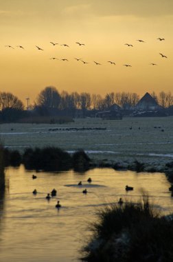 Hollanda 'nın geleneksel Hollanda köyü Marken