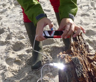 Sahildeki bir ağaç tepesinde iPhone şarj etmek