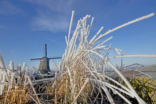 네덜란드의 풍경을 — 스톡 사진