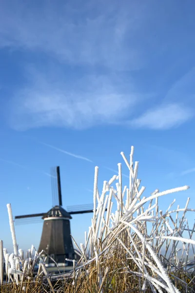 Młyn Naklejek Zimowym Krajobrazie Holandia — Zdjęcie stockowe