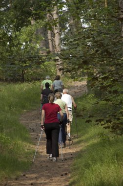 Bloemendaal, Hollanda 08-Haziran-2007: Bir grup İskandinav vatandaşı Hollanda 'daki kum tepeleri ve ormanlarda yürüyor.