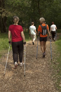 Bloemendaal, Hollanda 08-Haziran-2007: Bir grup İskandinav vatandaşı Hollanda 'daki kum tepeleri ve ormanlarda yürüyor.