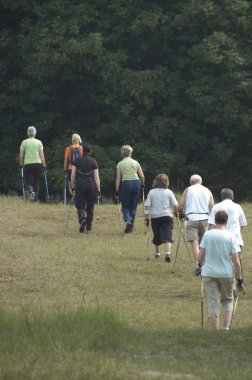 Bloemendaal, Hollanda 08-Haziran-2007: Bir grup İskandinav vatandaşı Hollanda 'daki kum tepeleri ve ormanlarda yürüyor.