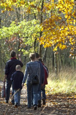 Veluwe, Brabant, Hollanda 26-Ekim-2006: Hollanda ulusal parkında sonbahar ormanlarında yürüyüş.