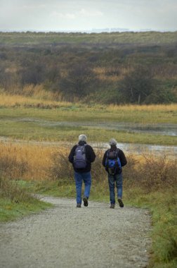 De kwade Hoek, Zeeland, Hollanda 19-Aralık-2006: Kum tepeleri ve otlakları olan bir doğa bölgesinde yürümek.
