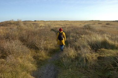 Vlieland, Hollanda 23-Aralık-2007: