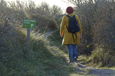 Vlieland, Hollanda 23-Aralık-2007: