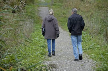 Oostvaardersplassen, Flevoland, Hollanda 19-Ekim-2007: Özel kuşlarla yürüyüş ulusal parkı.