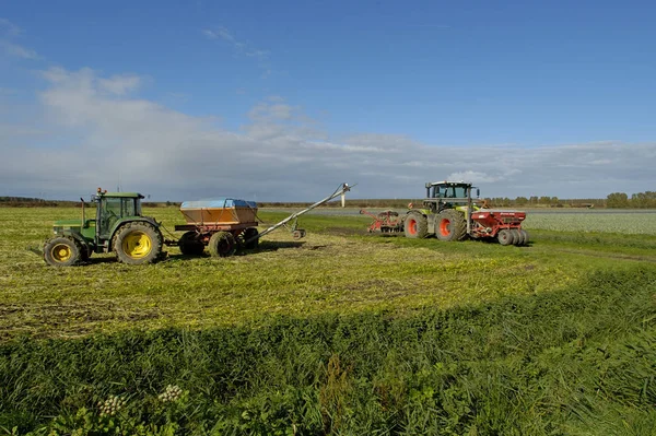 Gyönyörű Flevo Polder Flevolandban Hollandiában — Stock Fotó