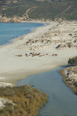 Adanın güzel sahilleri Corisica