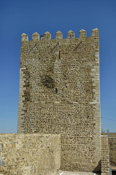 Torre do Castelo em Portugal — Fotografia de Stock