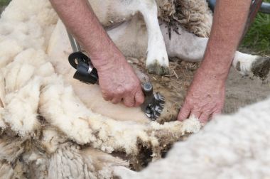 zaman bir tıraş için